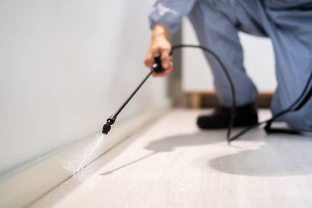 Licensed Termite Control service in Berkeley County County, WV - Nex Pest Control