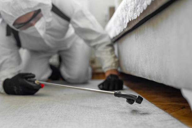 Professional Termite Control technician working in Berkeley County County, WV